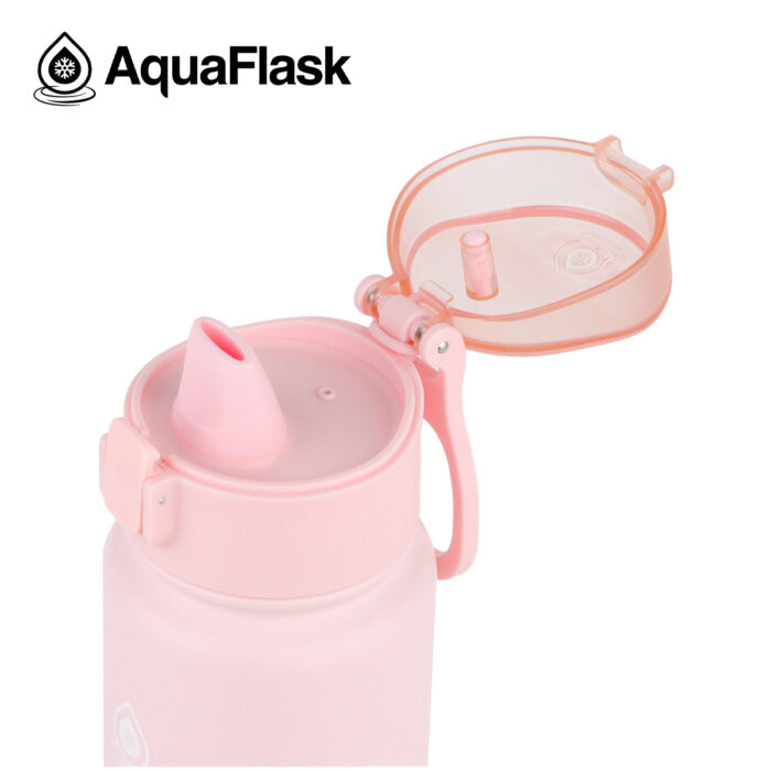 aquaflask waterfles met rietje 720ml ballet pink bijcees.nl