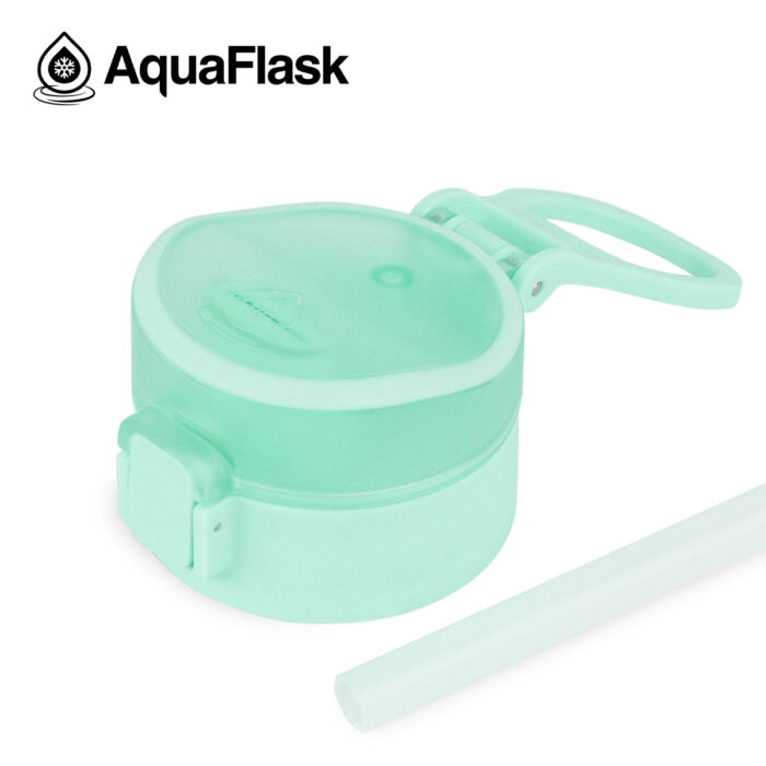 aquaflask waterfles met rietje 720ml mint gelato bijcees.nl